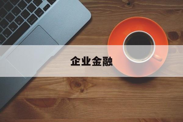 企业金融(企业金融贷款)