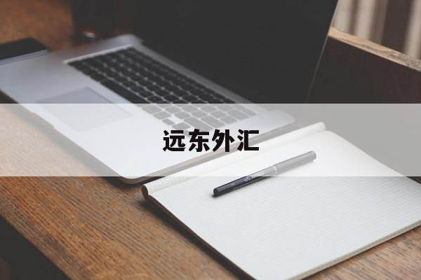 远东外汇(远东国际公司)