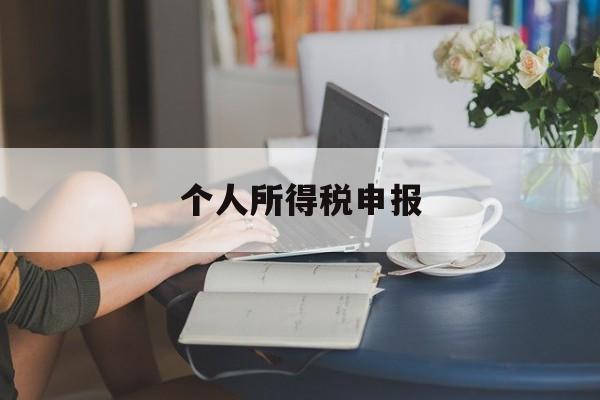 个人所得税申报(个人所得税申报系统的更正申报在哪里)